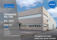 Vendita Capannone Paese