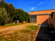 vendita capannone artigianale Casciana Terme Lari