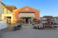 vendita negozio Casciana Terme Lari