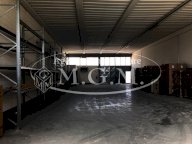 vendita capannone industriale Casciana Terme Lari