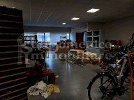 vendita capannone artigianale Vecchiano