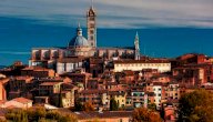 vendita locale commerciale Siena