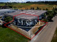 vendita capannone artigianale Terricciola