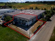 vendita capannone artigianale Terricciola