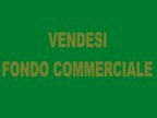 vendita locale commerciale Pisa