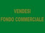 vendita locale commerciale Pisa