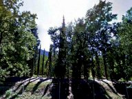 vendita capannone industriale Pieve Santo Stefano