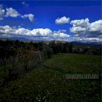 Vendita  Monterchi