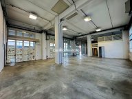 Vendita CAPANNONE Borgomezzavalle