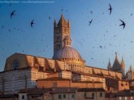 vendita negozio Siena