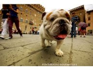 Vendita ristorante FIRENZE