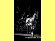 Vendita ristorante FIRENZE