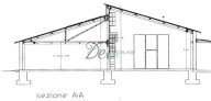 Vendita Azienda Agricola Capannori