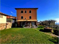 Vendita Azienda Agricola Capannori