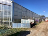 Vendita Azienda Agricola Ponte Buggianese