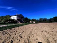 Vendita Azienda Agricola Todi