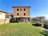 Vendita Azienda Agricola Capannori