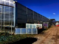 Vendita Azienda Agricola Ponte Buggianese