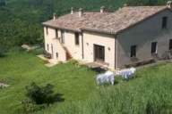 Vendita Azienda Agricola Urbino