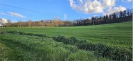 Vendita Azienda Agricola Todi