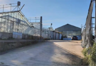 Vendita Azienda Agricola Velletri