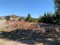 Vendita Azienda Agricola Bevagna