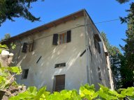 vendita azienda agricola Castelfiorentino