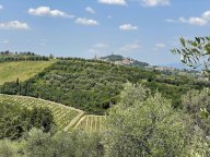 vendita azienda agricola San Miniato