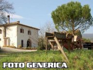 vendita azienda agricola Terricciola