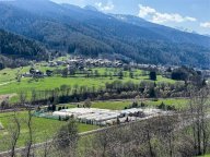 Vendita Azienda Agricola Commezzadura