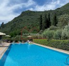 vendita agriturismo Camaiore