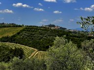 vendita azienda agricola San Miniato