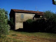 vendita azienda agricola Civitella Paganico