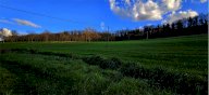 Vendita Azienda Agricola Todi