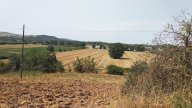 vendita azienda agricola Grosseto