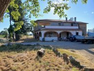 vendita azienda agricola Cinigiano