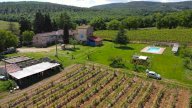 vendita azienda agricola Monteriggioni
