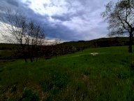 vendita azienda agricola Manciano