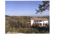 vendita azienda agricola San Miniato