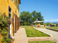 vendita azienda agricola Peccioli