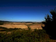 vendita attività commerciale Montalcino