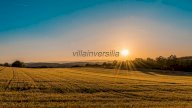 vendita azienda agricola Bomarzo
