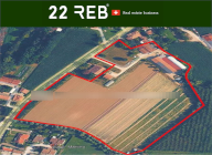 Vendita Azienda Agricola Morgano