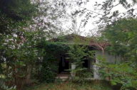 Vendita Casa singola Tarzo