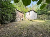 Vendita Casa singola Dimaro Folgarida