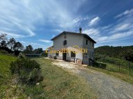 vendita casa singola Rosignano Marittimo