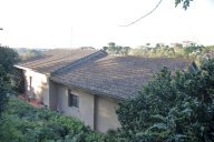 vendita casa singola Fauglia