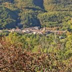 vendita casa semindipendente Montieri