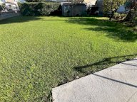 vendita casa singola Massa