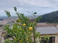 vendita casa singola Massa